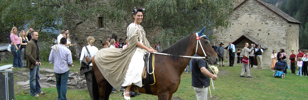 Hochzeit-Pferd
