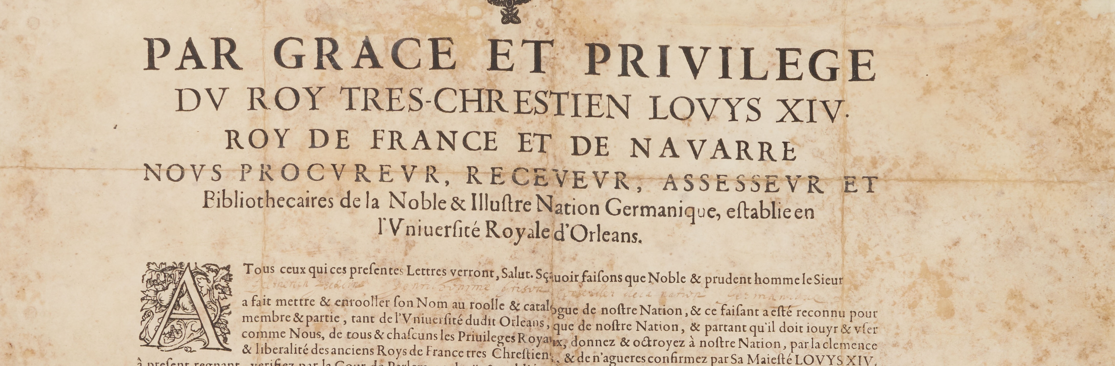 Ausschnitt Adelsbrief 4